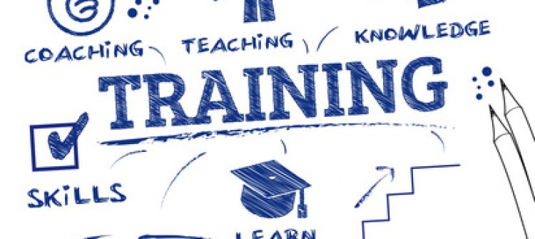 Quy trình đào tạo nhân viên mới: cách thực hiện hiệu quả